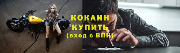 дурь Вяземский