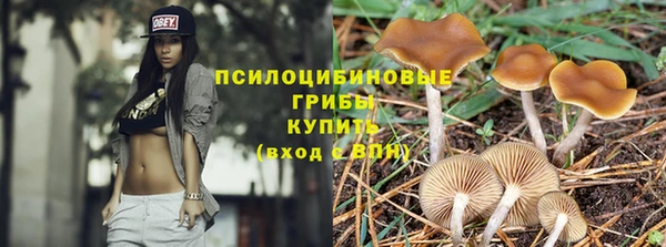бошки Вязьма
