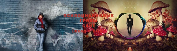 бошки Вязьма